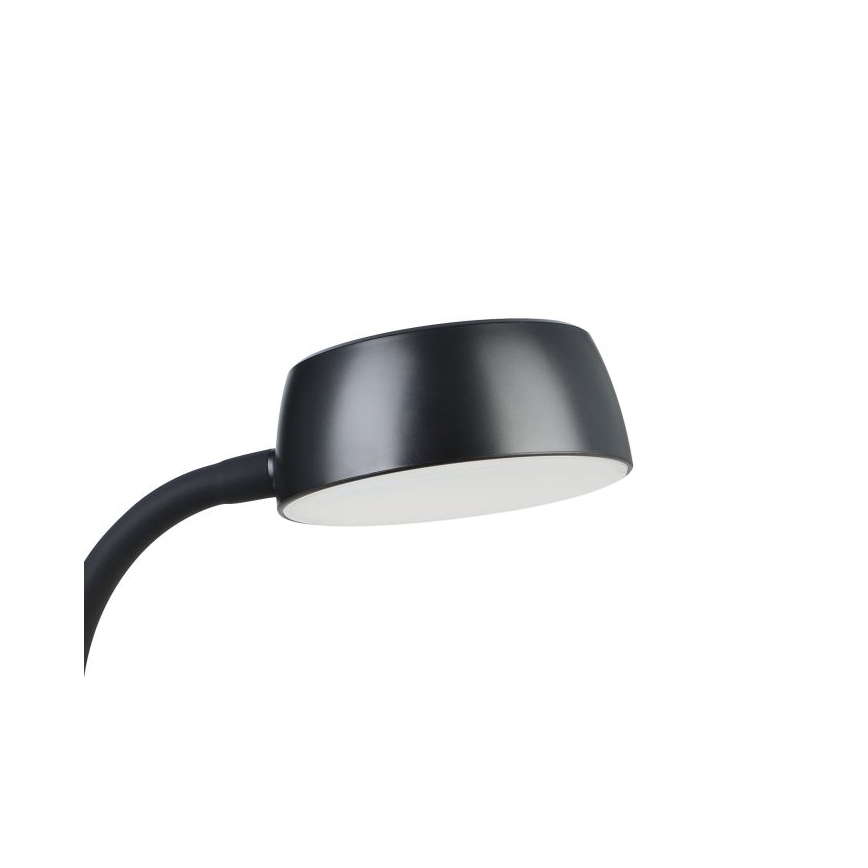 Eglo - LED Laualamp LED/4.5W/230V