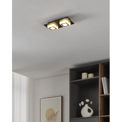 Eglo 99362 - LED laelamp MASIANO 2xLED/3,3W/230V