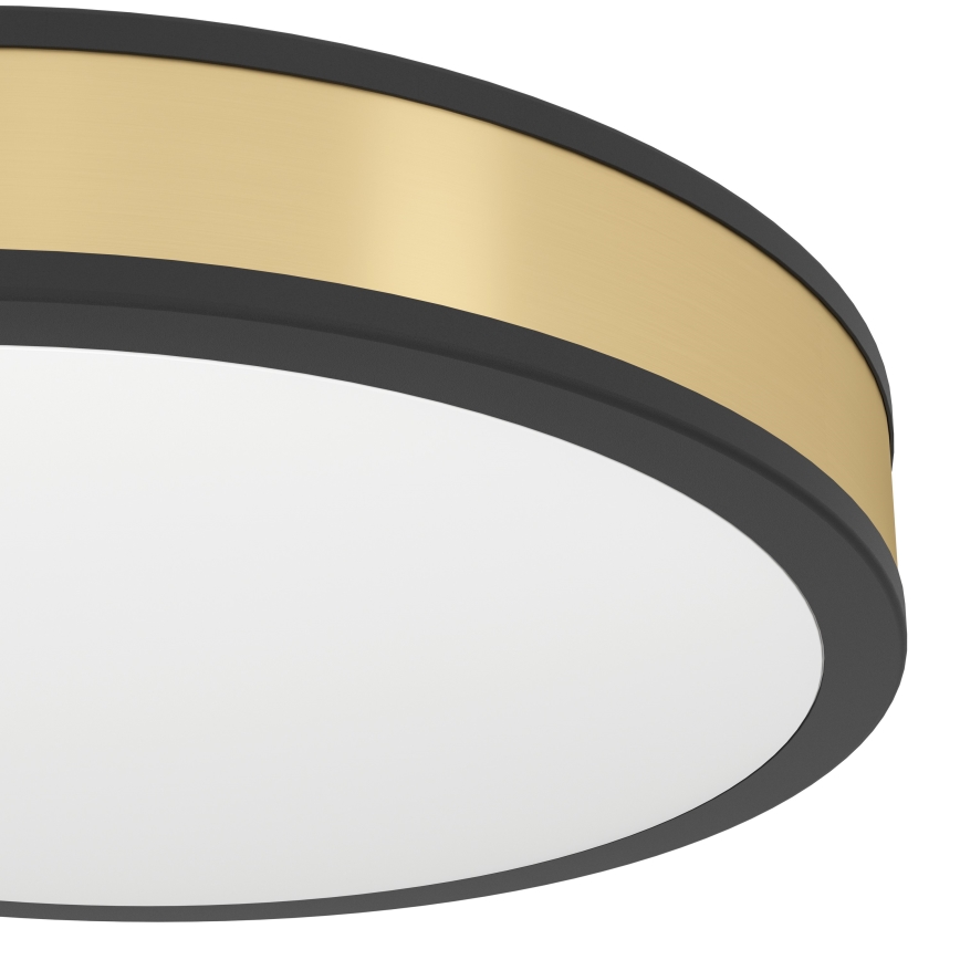 Eglo - LED-laevalgusti LED/24W/230V