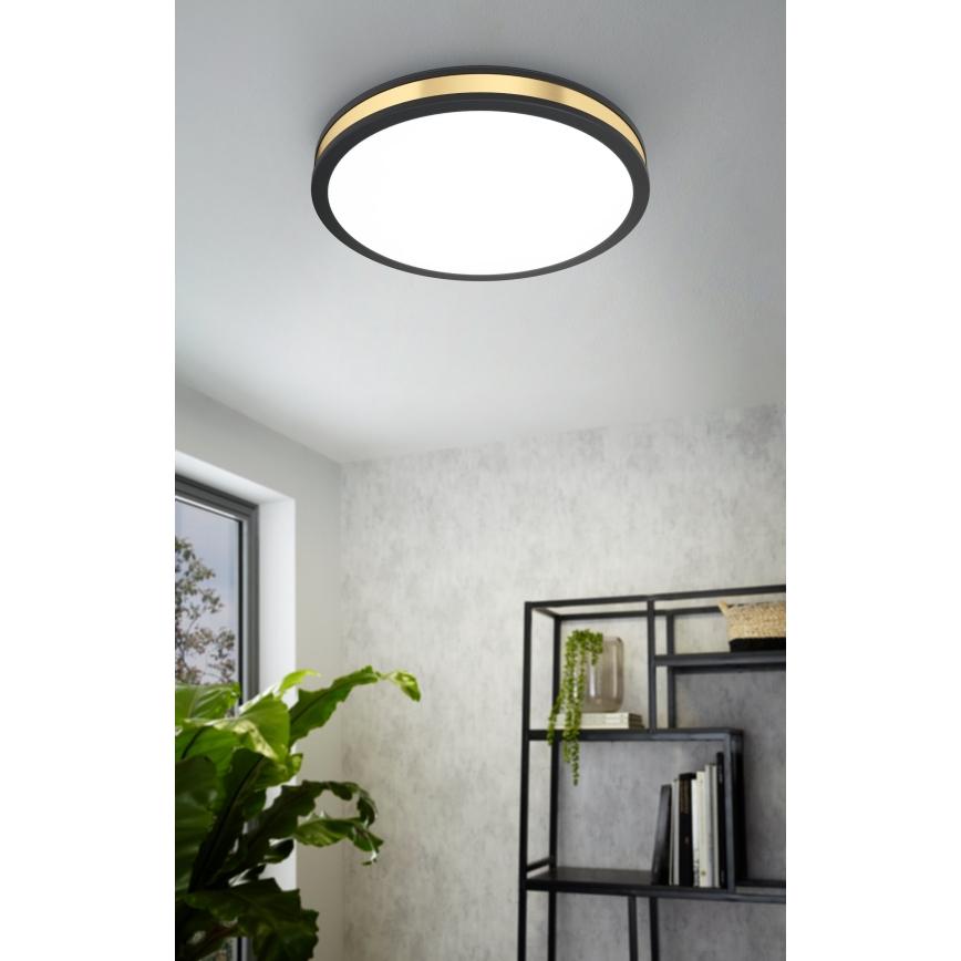 Eglo - LED-laevalgusti LED/24W/230V