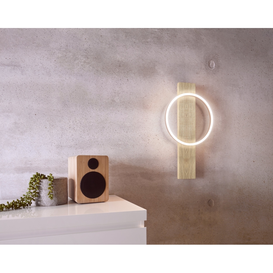 Eglo - LED-seinavalgusti LED/12W/230V
