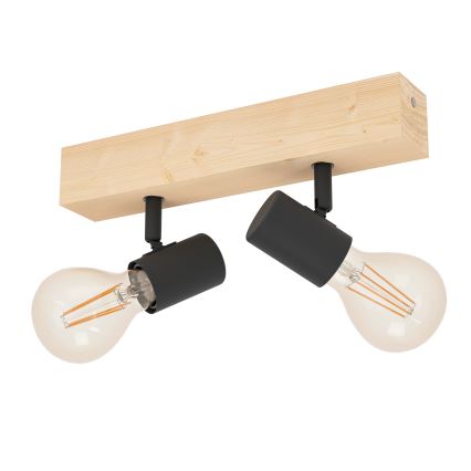 Eglo - Kohtvalgusti TOWNSHEND 2xE27/60W/230V