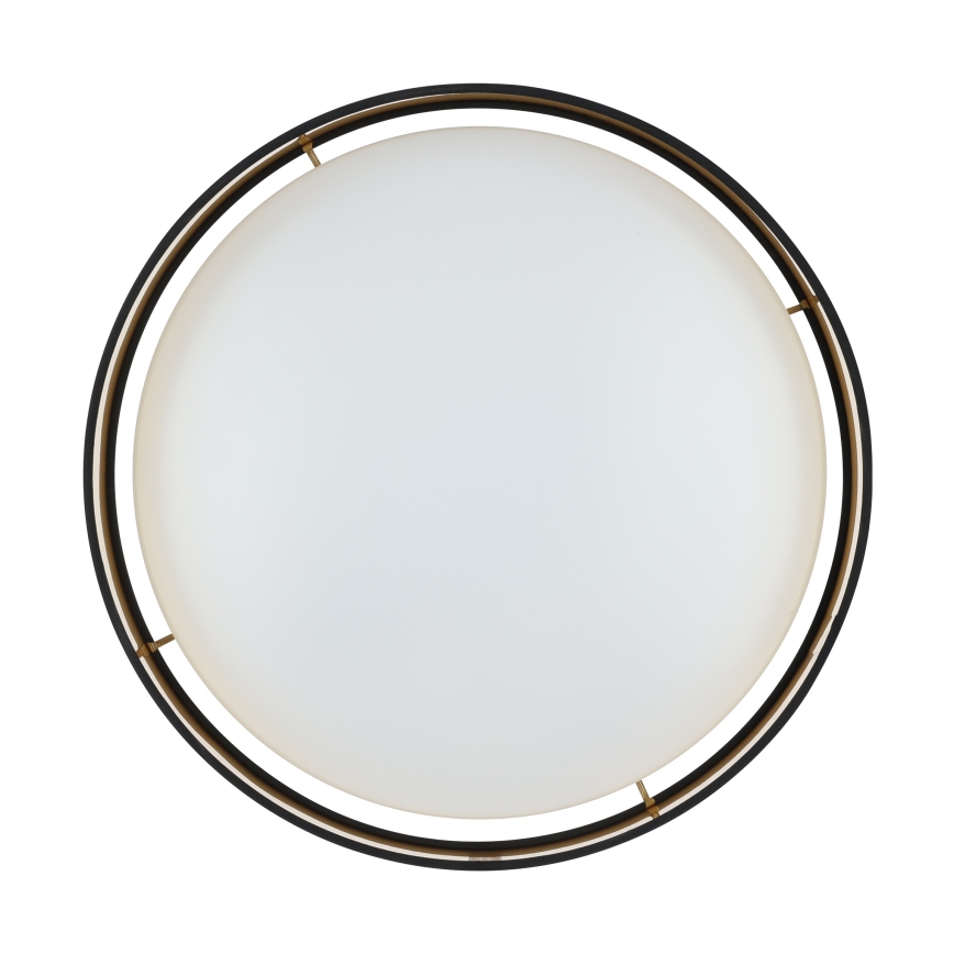 Eglo - LED-laevalgusti LED/24W/230V