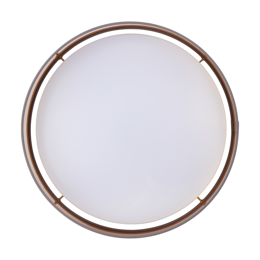 Eglo - LED-laevalgusti LED/24W/230V