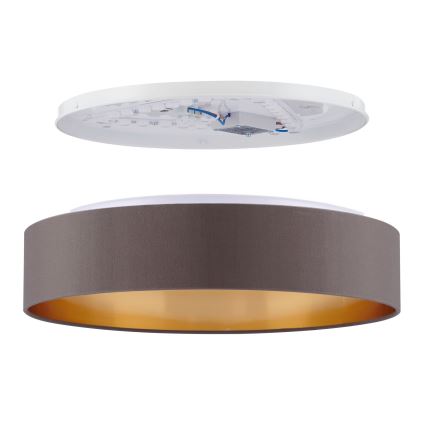 Eglo - LED-laevalgusti LED/24W/230V