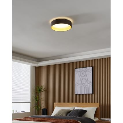 Eglo - LED-laevalgusti LED/24W/230V