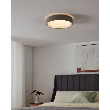 Eglo - LED-laevalgusti LED/24W/230V