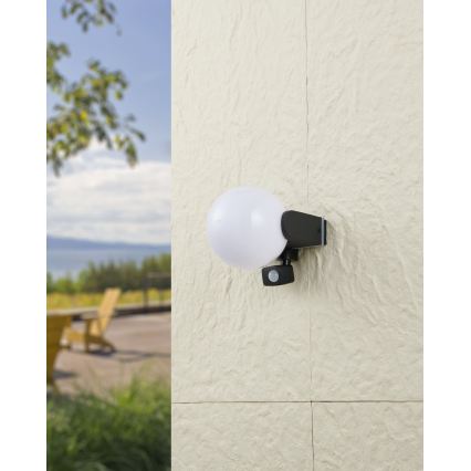Eglo 99573 - Välisseinavalgusti anduriga RUBIO 1xE27/15W/230V IP44