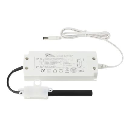Eglo - LED Riba 8m LED/43,2W/24/230V 3000K