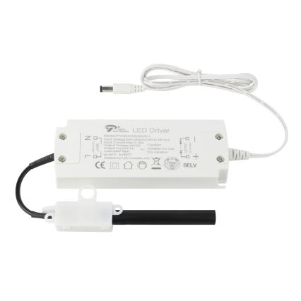 Eglo - LED Riba 8m LED/43,2W/24/230V 4000K