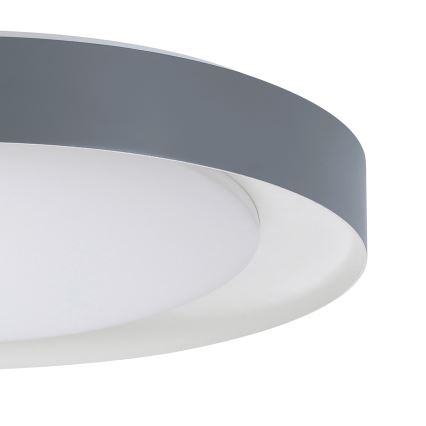 Eglo- LED Hämardatav laevalgusti LED/24W/230V 3000-6500K+ pult