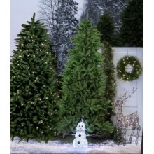 Eglo - Jõulupuu 210 cm kuusk