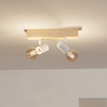 Eglo - Kohtvalgusti TOWNSHEND 2xE27/60W/230V - FSC sertifitseeritud