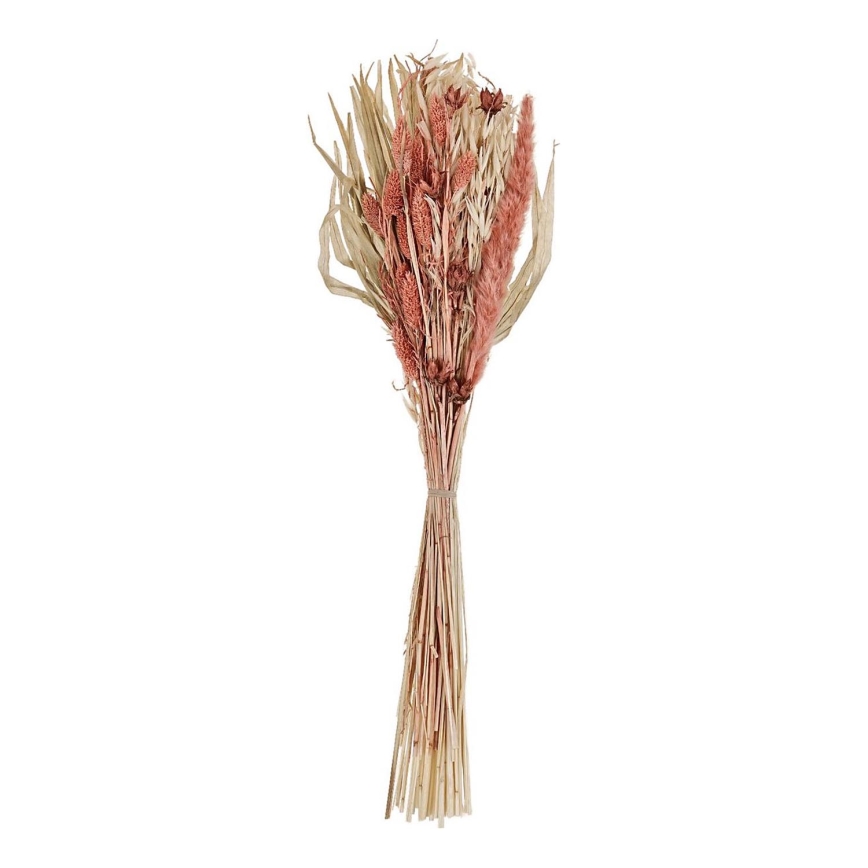 Eglo - Kuivatatud lill 60 cm oranž