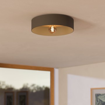 Eglo - Laevalgusti 1xE27/40W/230V hall