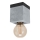 Eglo - Laevalgusti 1xE27/40W/230V