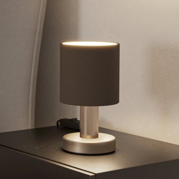 Eglo - Laualamp 1xE14/40W/230V pruun/mattkroom