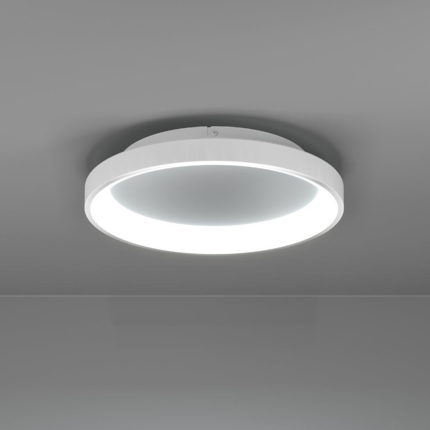 Eglo - LED Hämardatav laevalgusti LED/12W/230V 2700-6500K valge + kaugjuhtimispult