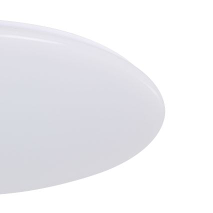 Eglo - LED Hämardatav laevalgusti LED/80W/230V + pult