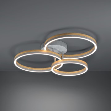 Eglo - LED Hämardatav pinnale kinnitatav lühter LED/12,5W/230V + 2xLED/15,5W 3000K hall/tamm