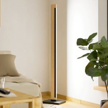Eglo - LED Hämardatav põrandalamp LED/22W/230V