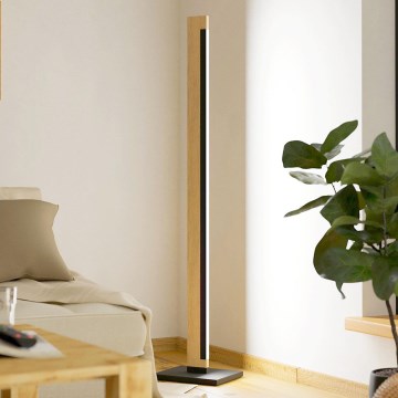 Eglo - LED Hämardatav puutetundlik põrandalamp CAMACHO LED/22W/230V