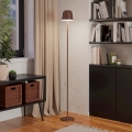 Eglo - LED Hämardatav väli laetav põrandalamp LED/4,3W/230V 2400/3000/4000K IP54 pruun