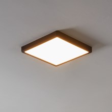 Eglo - LED Hämardatav vannitoa valgusti LED/19,5W/230V IP44 ZigBee