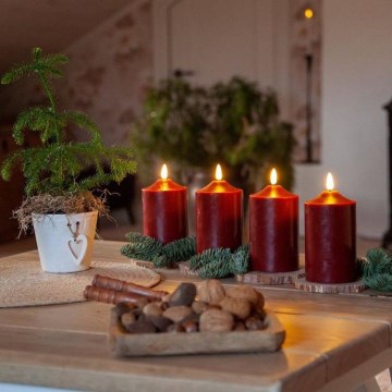 Eglo - LED Jõulukaunistus LED/0,03W/2xAA