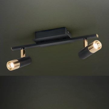 Eglo - LED-kohtvalgusti  2xLED/5W/230V/12V