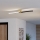 Eglo - LED Laevalgusti LED/12W/230V 4000K must