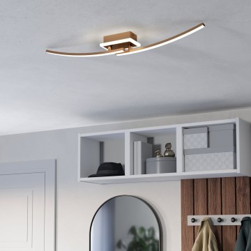 Eglo - LED Laevalgusti LED/12W/230V 4000K vask
