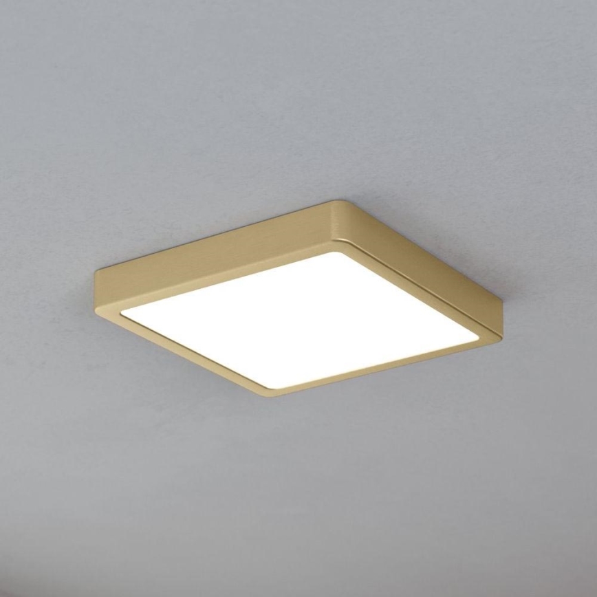 Eglo - LED laevalgusti LED/17W/230V 21x21 cm