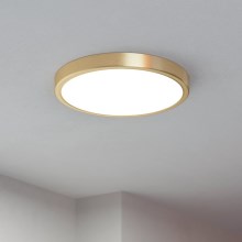 Eglo - LED Laevalgusti LED/20,5W/230V d. 28,5 cm