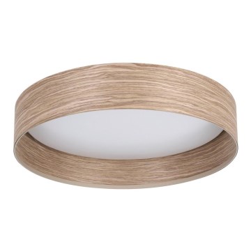 Eglo - LED Laevalgusti LED/24W/230V