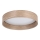 Eglo - LED Laevalgusti LED/24W/230V