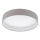Eglo - LED Laevalgusti LED/24W/230V