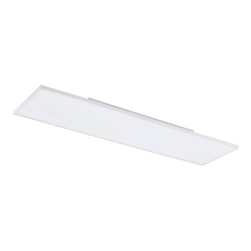 Eglo - LED Laevalgusti LED/31,5W/230V