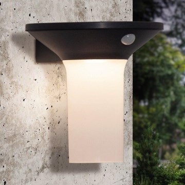 Eglo - LED päikesepaneeliga välisvalgusti anduriga 6xLED/0,03W/3,7V IP44