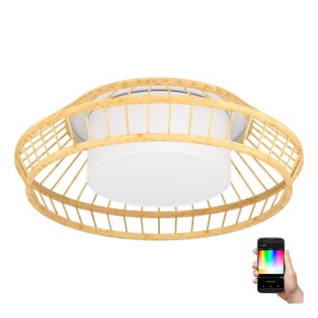 Eglo - LED RGB Hämardatav laevalgusti LED/22W/230V 2700-6500K