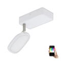 Eglo - LED RGB Kohtvalgusti PALOMBARE-C 1xLED/5W/230V