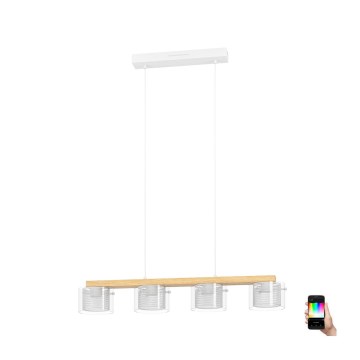 Eglo - LED RGBW Hämardatav lühter 4xLED/3,7W/230V 2700-6500K