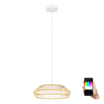 Eglo - LED RGBW Hämardatav lühter LED/22W/230V 2700-6500K