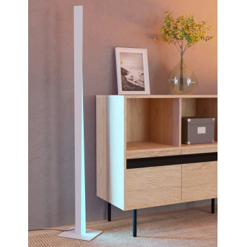 Eglo - LED RGBW hämardatav põrandalamp LED/10,5W/230V + LED/15,2W hall