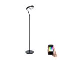 Eglo - LED RGBW Hämardatav põrandalamp LED/16W/230V ZigBee