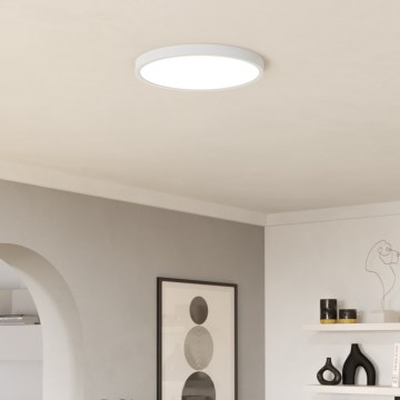 Eglo - LED RGBW hämardatav vannitoa laevalgusti LED/17,5W/230V 2700-6500K läbimõõt 39,9 cm IP44 valge