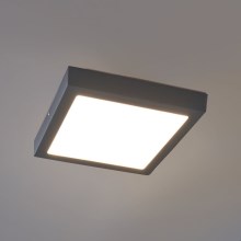 Eglo - LED Seinavalgusti õue LED/22W