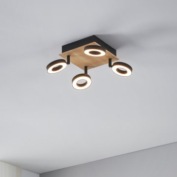 Eglo - LED-spottvalgusti 4xLED/4,2W/230V must/pruun