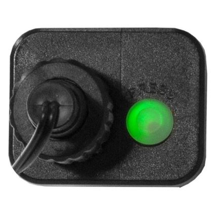 Eglo 472-53 - LED välistingimuste jõulutuled BERRY MINI 700xLED/8 režiimi 19m mitmevärviline IP44