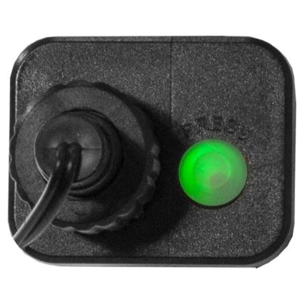 Eglo - LED-valguskett välistingimustesse, 300 LED, 8 funktsiooni, 11 m, IP44, mitmevärviline